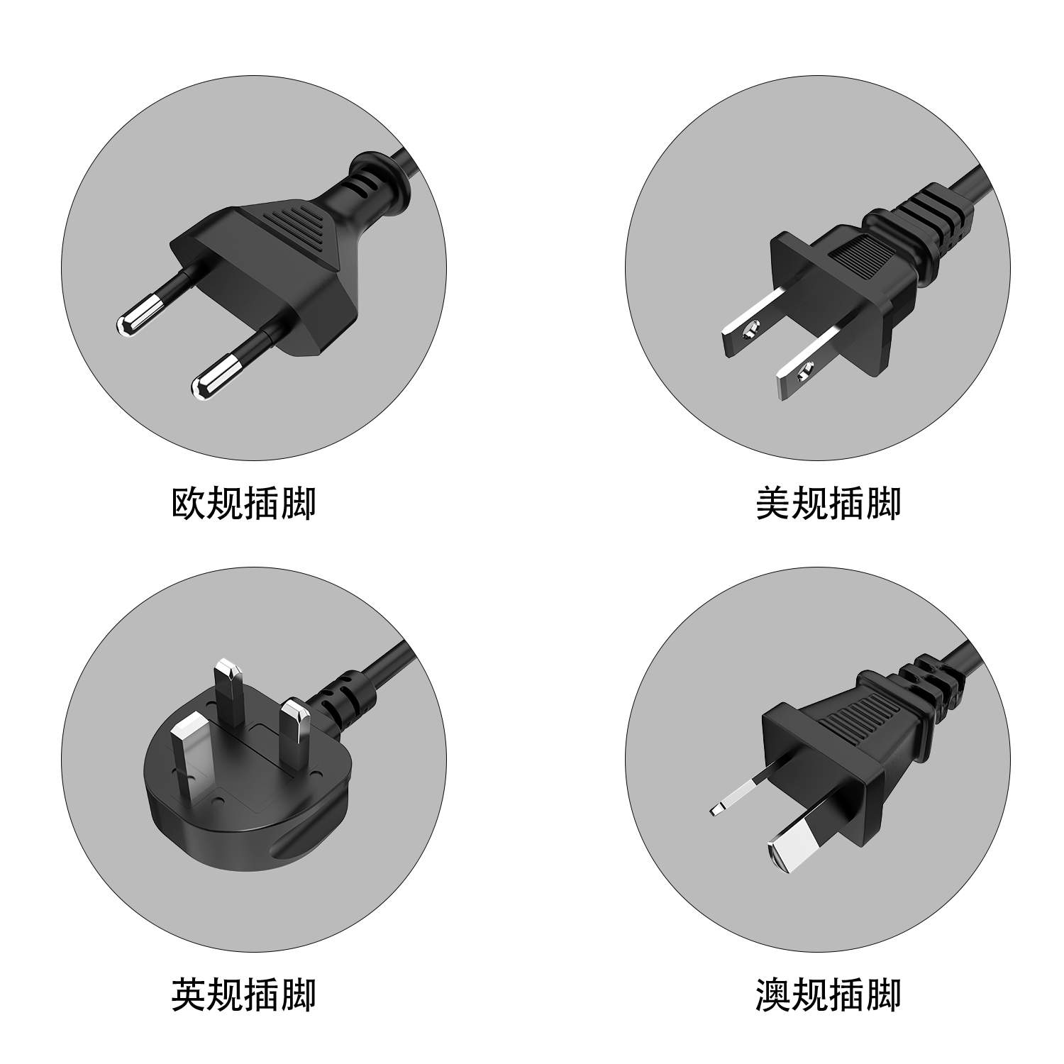 AC Plug Option